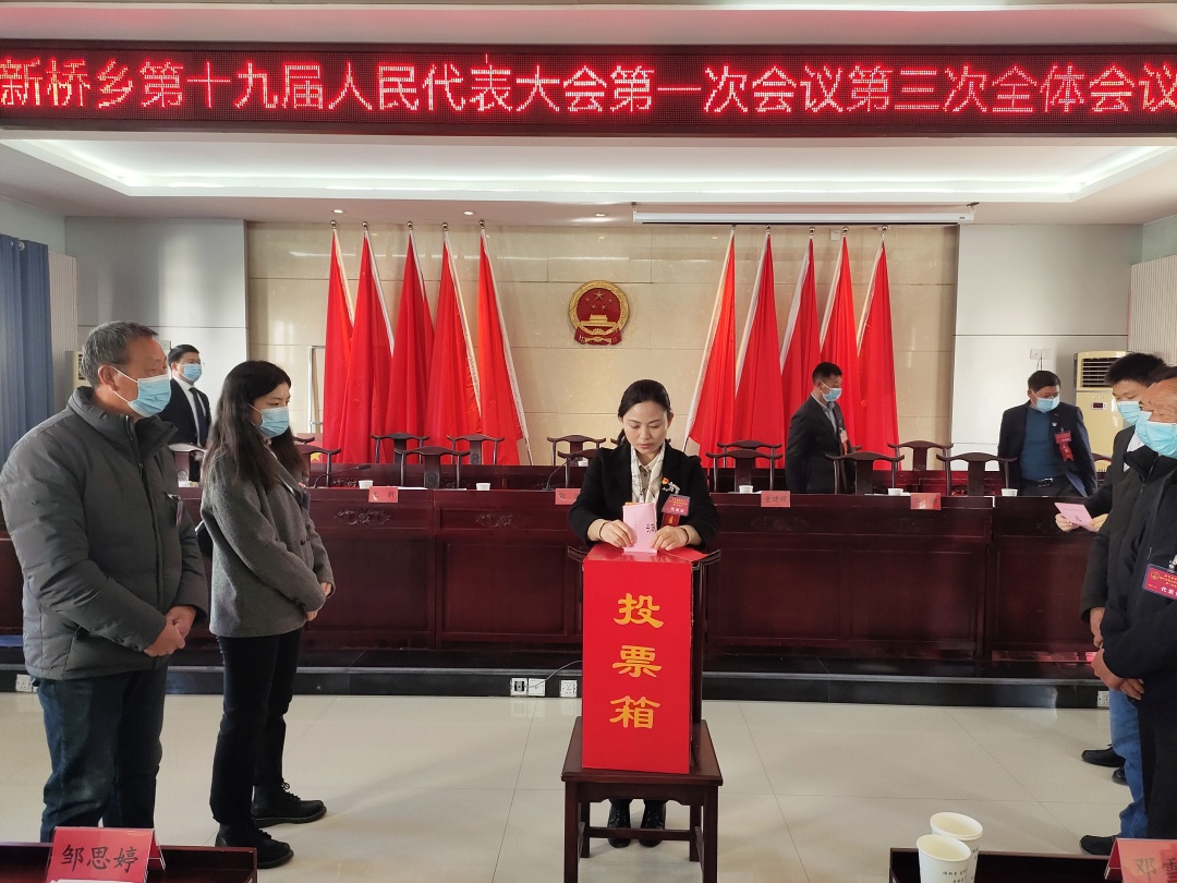 代表积极讨论童建辉同志代表新桥乡人民政府向大会作《政府工作报告》