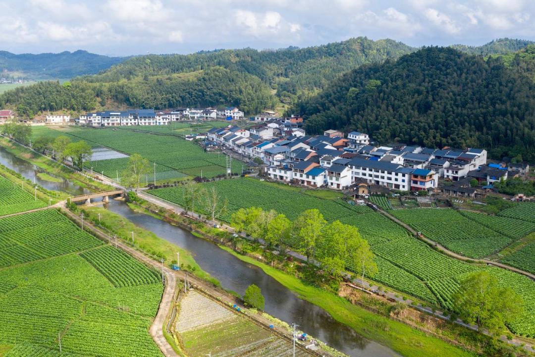 全省乡村“五个美丽”建设典型村(点)名单公布!泰宁这些地方上榜 - 头版头条 --中国泰宁在线